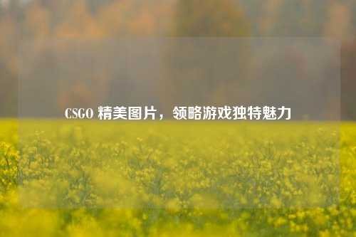 CSGO 精美图片，领略游戏独特魅力