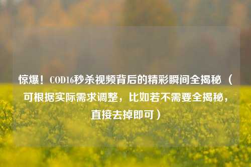 惊爆！COD16秒杀视频背后的精彩瞬间全揭秘 （可根据实际需求调整，比如若不需要全揭秘，直接去掉即可）