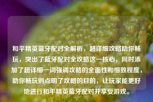 和平精英蓝牙配对全解析，超详细攻略助你畅玩，突出了蓝牙配对全攻略这一核心，同时添加了超详细一词强调攻略的全面性和细致程度，助你畅玩则点明了攻略的目的，让玩家能更好地进行和平精英蓝牙配对并享受游戏。