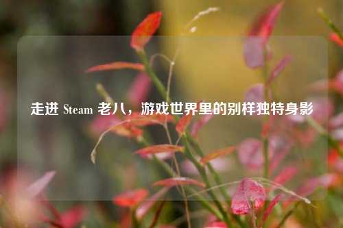 走进 Steam 老八，游戏世界里的别样独特身影