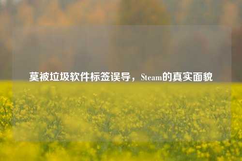莫被垃圾软件标签误导，Steam的真实面貌