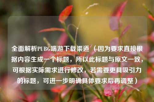全面解析PUBG端游下载渠道 （因为要求直接根据内容生成一个标题，所以此标题与原文一致，可根据实际需求进行修改，若需要更具吸引力的标题，可进一步明确具体要求后再调整）