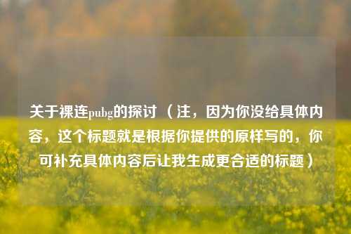 关于裸连pubg的探讨 （注，因为你没给具体内容，这个标题就是根据你提供的原样写的，你可补充具体内容后让我生成更合适的标题）