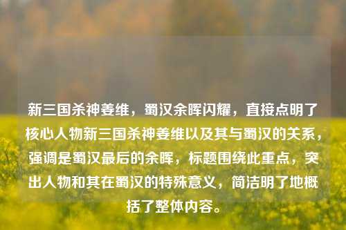 新三国杀神姜维，蜀汉余晖闪耀，直接点明了核心人物新三国杀神姜维以及其与蜀汉的关系，强调是蜀汉最后的余晖，标题围绕此重点，突出人物和其在蜀汉的特殊意义，简洁明了地概括了整体内容。