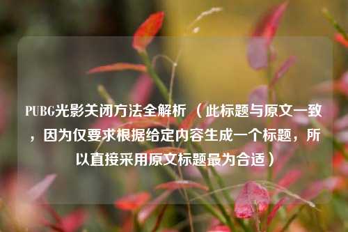 PUBG光影关闭 *** 全解析 （此标题与原文一致，因为仅要求根据给定内容生成一个标题，所以直接采用原文标题最为合适）
