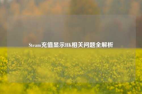 Steam充值显示HK相关问题全解析