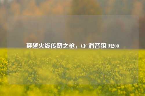 穿越火线传奇之枪，CF 消音狙 M200