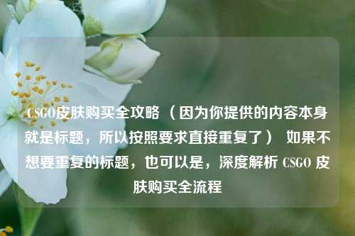 CSGO皮肤购买全攻略 （因为你提供的内容本身就是标题，所以按照要求直接重复了）  如果不想要重复的标题，也可以是，深度解析 CSGO 皮肤购买全流程
