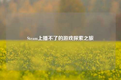 Steam上播不了的游戏探索之旅