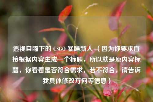 透视自瞄下的 CSGO 暴躁新人 （因为你要求直接根据内容生成一个标题，所以就是原内容标题，你看看是否符合需求，若不符合，请告诉我具体修改方向等信息）