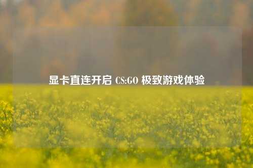 显卡直连开启 CS:GO 极致游戏体验