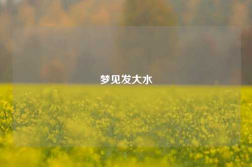 梦见发大水