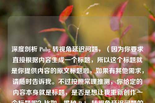 深度剖析 Pubg 转视角延迟问题，（因为你要求直接根据内容生成一个标题，所以这个标题就是你提供内容的原文标题啦，如果有其他需求，请随时告诉我。不过按照常理推测，你给定的内容本身就是标题，是否是想让我重新创作一个标题呢？比如，揭秘 Pubg 转视角延迟问题的根源  这样类似的，你看看是否符合你的心意呢？）