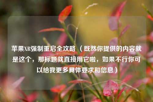 苹果XR强制重启全攻略 （既然你提供的内容就是这个，那标题就直接用它啦，如果不行你可以给我更多具体要求和信息）