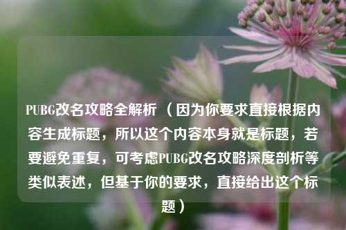 PUBG改名攻略全解析 （因为你要求直接根据内容生成标题，所以这个内容本身就是标题，若要避免重复，可考虑PUBG改名攻略深度剖析等类似表述，但基于你的要求，直接给出这个标题）