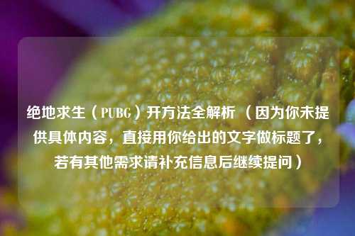 绝地求生（PUBG）开 *** 全解析 （因为你未提供具体内容，直接用你给出的文字做标题了，若有其他需求请补充信息后继续提问）