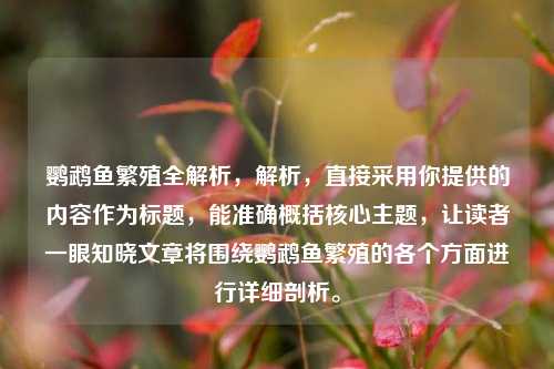 鹦鹉鱼繁殖全解析，解析，直接采用你提供的内容作为标题，能准确概括核心主题，让读者一眼知晓文章将围绕鹦鹉鱼繁殖的各个方面进行详细剖析。
