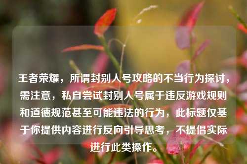 王者荣耀，所谓封别人号攻略的不当行为探讨，需注意，私自尝试封别人号属于违反游戏规则和道德规范甚至可能违法的行为，此标题仅基于你提供内容进行反向引导思考，不提倡实际进行此类操作。