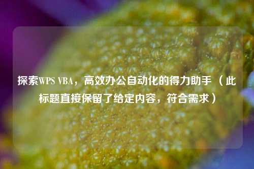 探索WPS VBA，高效办公自动化的得力助手 （此标题直接保留了给定内容，符合需求）