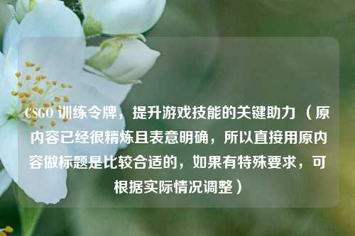 CSGO 训练令牌，提升游戏技能的关键助力 （原内容已经很精炼且表意明确，所以直接用原内容做标题是比较合适的，如果有特殊要求，可根据实际情况调整）