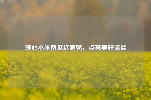 暖心小米南瓜红枣粥，点亮美好清晨