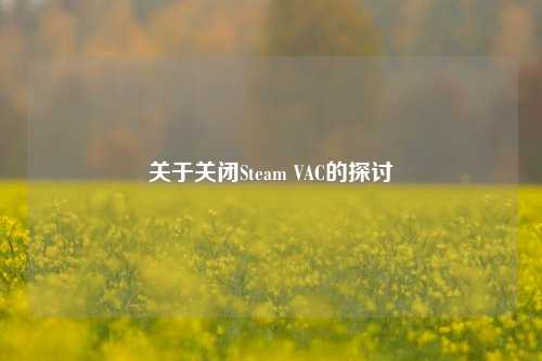 关于关闭Steam VAC的探讨