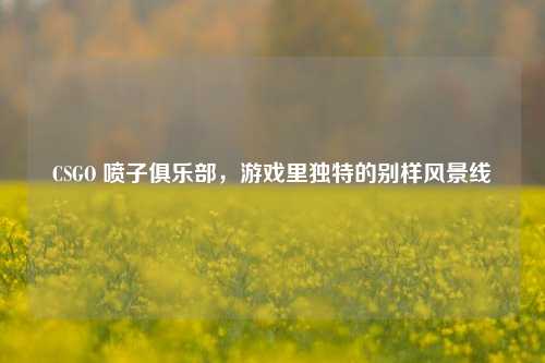 CSGO 喷子俱乐部，游戏里独特的别样风景线