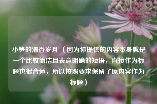 小笋的清香岁月 （因为你提供的内容本身就是一个比较简洁且表意明确的短语，直接作为标题也很合适，所以按照要求保留了原内容作为标题）