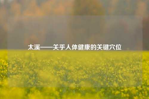 太溪——关乎人体健康的关键穴位