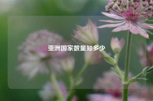 亚洲国家数量知多少