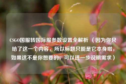 CSGO国服转国际服参数设置全解析 （因为你只给了这一个内容，所以标题只能是它本身啦，如果这不是你想要的，可以进一步说明需求）