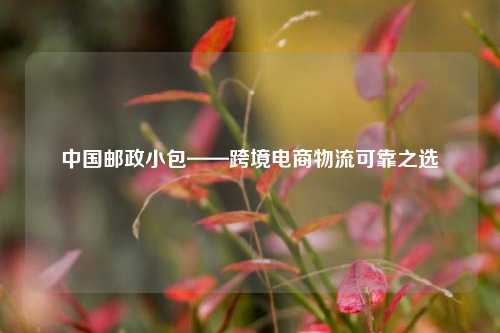 中国邮政小包——跨境电商物流可靠之选