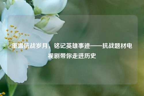 重温抗战岁月，铭记英雄事迹——抗战题材电视剧带你走进历史