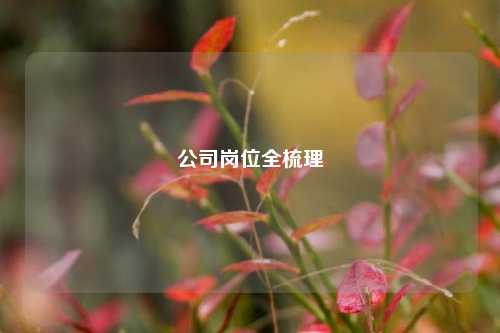 公司岗位全梳理