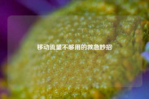 移动流量不够用的救急妙招