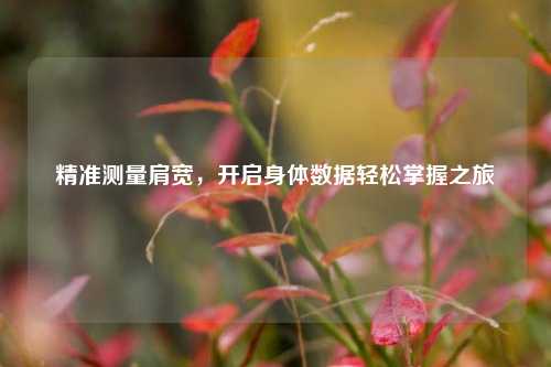 精准测量肩宽，开启身体数据轻松掌握之旅