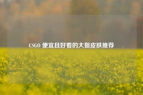 CSGO 便宜且好看的大狙皮肤推荐