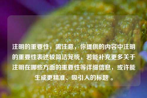 注明的重要性，需注意，你提供的内容中注明的重要性表述较简洁笼统，若能补充更多关于注明在哪些方面的重要性等详细信息，或许能生成更精准、吸引人的标题 。