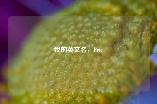 我的英文名，Eric