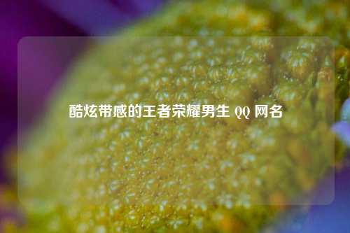 酷炫带感的王者荣耀男生  ***  网名