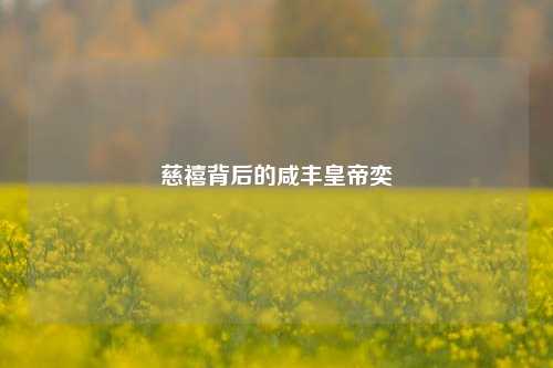 慈禧背后的咸丰皇帝奕詝