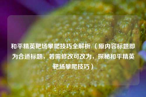 和平精英靶场攀爬技巧全解析 （原内容标题即为合适标题，若需修改可改为，探秘和平精英靶场攀爬技巧）