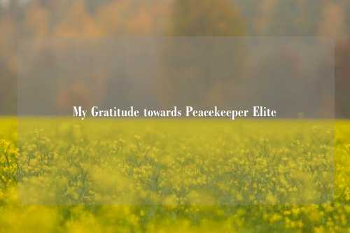 My Gratitude towards Peacekeeper Elite