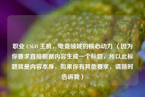 职业 CSGO 主机，电竞领域的核心动力 （因为你要求直接根据内容生成一个标题，所以此标题就是内容本身，如果你有其他要求，请随时告诉我）
