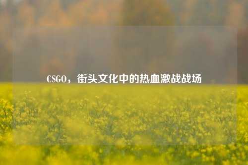 CSGO，街头文化中的热血激战战场