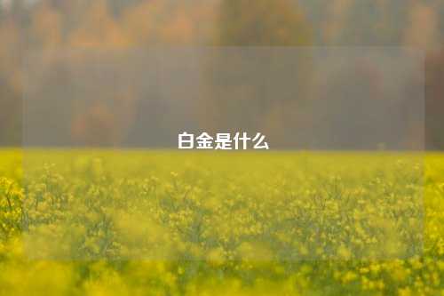 白金是什么