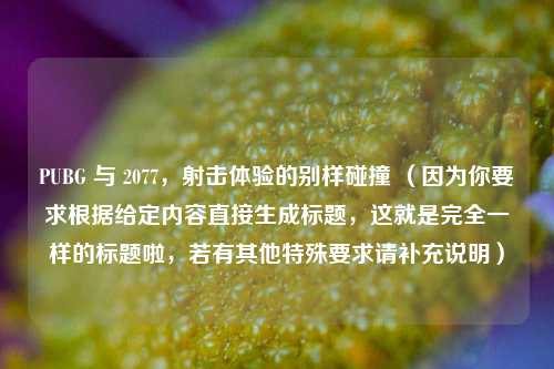 PUBG 与 2077，射击体验的别样碰撞 （因为你要求根据给定内容直接生成标题，这就是完全一样的标题啦，若有其他特殊要求请补充说明）
