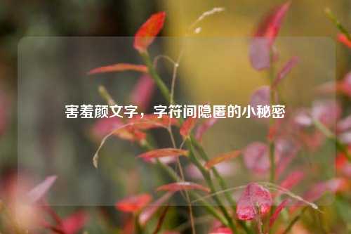 害羞颜文字，字符间隐匿的小秘密