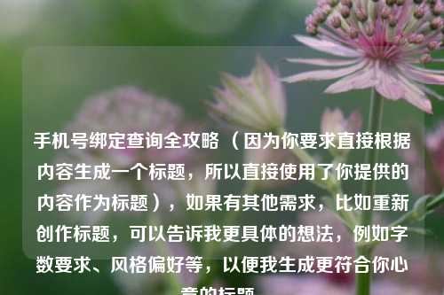 手机号绑定查询全攻略 （因为你要求直接根据内容生成一个标题，所以直接使用了你提供的内容作为标题），如果有其他需求，比如重新创作标题，可以告诉我更具体的想法，例如字数要求、风格偏好等，以便我生成更符合你心意的标题。