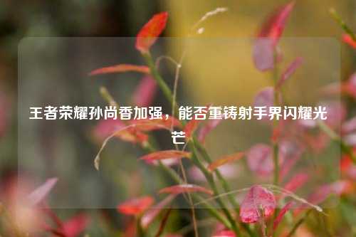 王者荣耀孙尚香加强，能否重铸射手界闪耀光芒